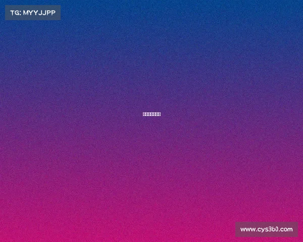 综合格斗锦标赛